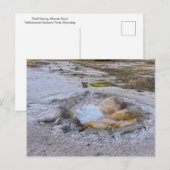 Shell Spring in Yellowstone National Park, Wyoming Briefkaart (Voorkant / Achterkant)