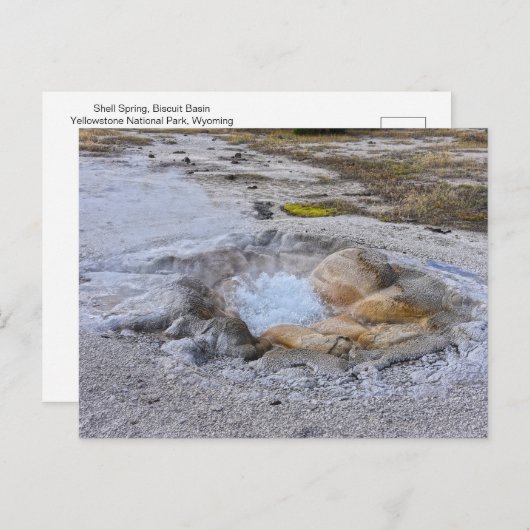 Shell Spring in Yellowstone National Park, Wyoming Briefkaart (Voorkant / Achterkant)