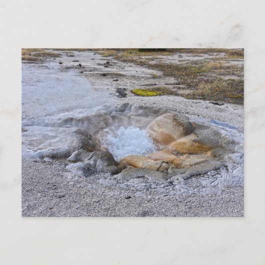 Shell Spring in Yellowstone National Park, Wyoming Briefkaart (Voorkant)