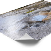 Shell Spring in Yellowstone National Park, Wyoming Foto Afdruk (Hoek)