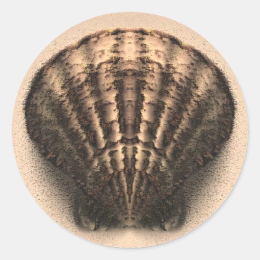 Shell Stickers (Voorkant)