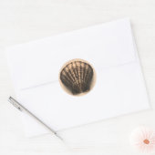 Shell Stickers (Envelop)