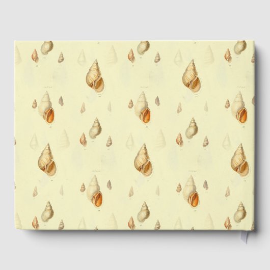 shell strand art ontwerp heldere zon gastenboek (Achterkant)