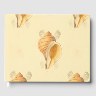shell strand art ontwerp heldere zon gastenboek