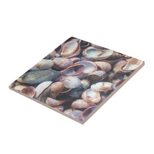 Shell-Tegel Tegeltje (Zijkant)