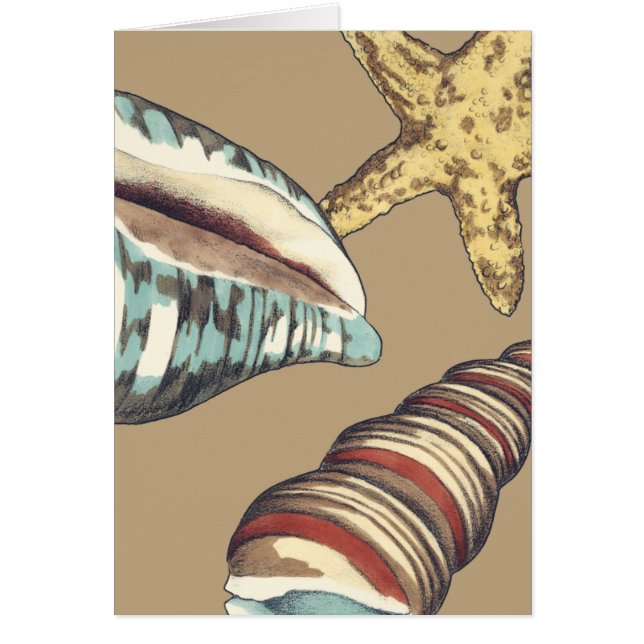 Shell Trio op Khaki (Voorkant)