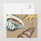 Shell Trio op Khaki Briefkaart (Voorkant / Achterkant)