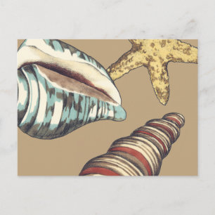 Shell Trio op Khaki Briefkaart