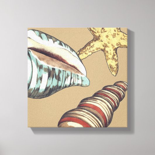 Shell Trio op Khaki Canvas Afdruk (Voorkant)