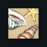 Shell Trio op Khaki Canvas Afdruk<br><div class="desc">Megan Meagher staat bekend om haar eenvoudige kunstwerken. Dit is een geweldig afbeelding decoratieve kunst die het leven van het zee vangt met een gele zeester en een blauwe en rode kegelschelp. Profiteer vandaag van deze fijne kunstdruk op de Khaki-kleur op uw Zazzle-product.</div>