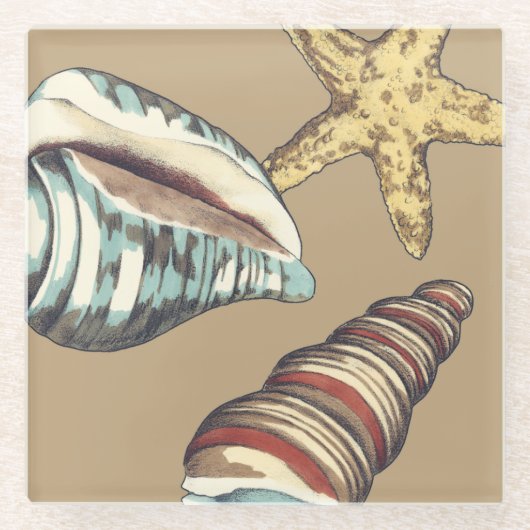 Shell Trio op Khaki Glazen Onderzetter (Voorkant)