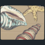 Shell Trio op Khaki iPad Cover<br><div class="desc">Megan Meagher staat bekend om haar eenvoudige kunstwerken. Dit is een geweldig afbeelding decoratieve kunst die het leven van het zee vangt met een gele zeester en een blauwe en rode kegelschelp. Profiteer vandaag van deze fijne kunstdruk op de Khaki-kleur op uw Zazzle-product.</div>