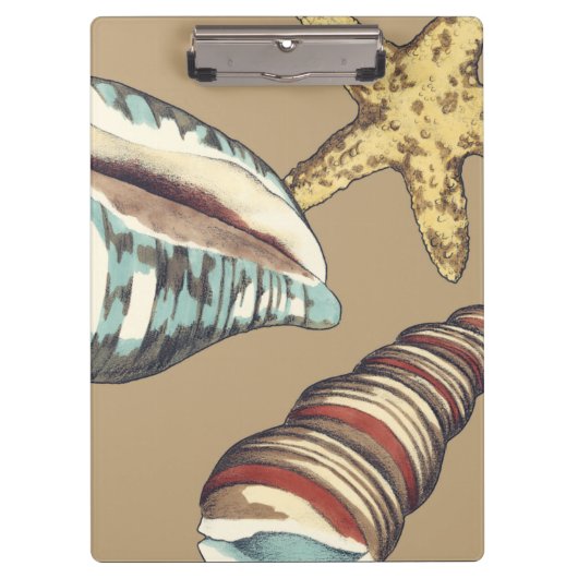 Shell Trio op Khaki Klembord (Voorkant)