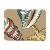 Shell Trio op Khaki Magneet (Horizontaal)