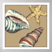 Shell Trio op Khaki Poster (Voorkant)