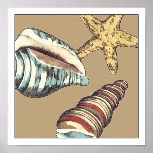 Shell Trio op Khaki Poster (Voorkant)