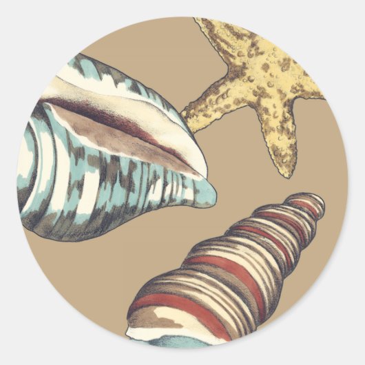 Shell Trio op Khaki Ronde Sticker (Voorkant)