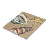 Shell Trio op Khaki Tegeltje (Zijkant)