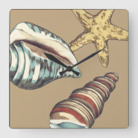 Shell Trio op Khaki