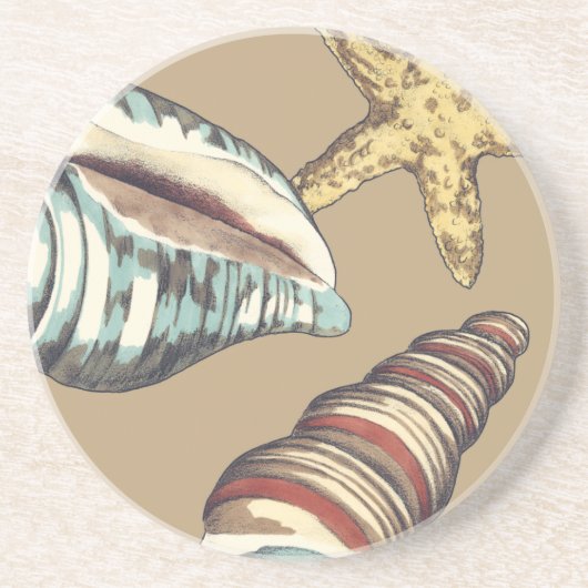 Shell Trio op Khaki Zandsteen Onderzetter (Voorkant)