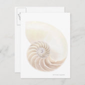 Shell van Nautilus, close-up Briefkaart (Voorkant / Achterkant)