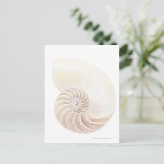 Shell van Nautilus, close-up Briefkaart (Staand voorkant)