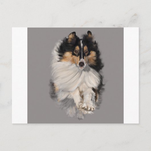 Shellie op de Beweging Briefkaart (Voorkant)