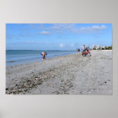 Shelling at Low Tide, Fort Myers Beach, Florida Poster (Voorkant)