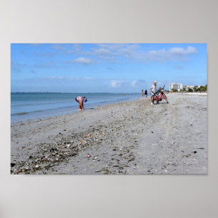 Shelling at Low Tide, Fort Myers Beach, Florida Poster