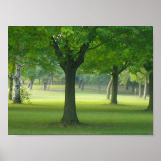 Shellis Canvas Print, niet ingericht "het Magische Poster (Voorkant)