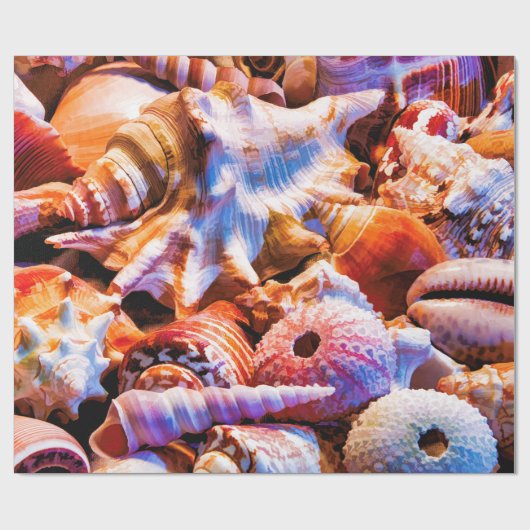 Shells 1 Alt Cadeaupapier (Vlak)