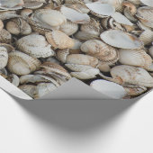 Shells achtergrond cadeaupapier (Hoek)