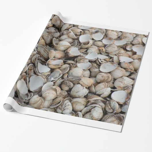 Shells achtergrond cadeaupapier (Uitgerold)