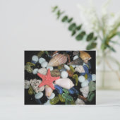 Shells en de Rotsen van het zee Briefkaart (Staand voorkant)