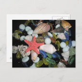 Shells en de Rotsen van het zee Briefkaart (Voorkant / Achterkant)
