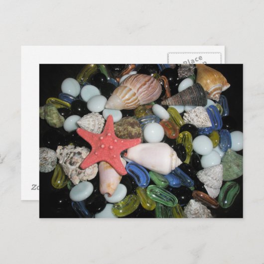Shells en de Rotsen van het zee Briefkaart (Voorkant / Achterkant)