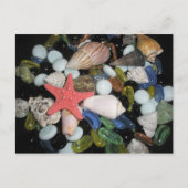 Shells en de Rotsen van het zee Briefkaart (Voorkant)
