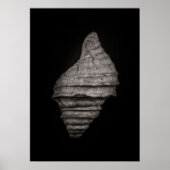 Shells No 10 Poster (Voorkant)
