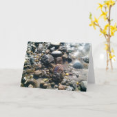 Shells op het Strand Kaart (Gele Bloem)