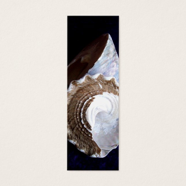 Shells profielkaart of bladwijzer mini visitekaartjes (Voorkant)