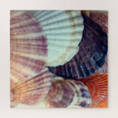 Shells Puzzle Legpuzzel (Horizontaal)