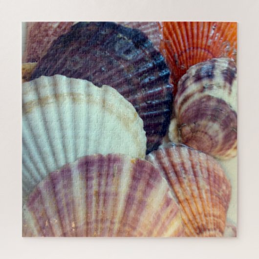 Shells Puzzle Legpuzzel (Verticaal)