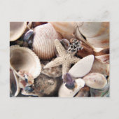 Shells van het zee briefkaart (Voorkant)