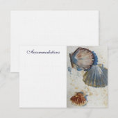 Shells van het zee de Kaart van de Bijlage (Voorkant / Achterkant)