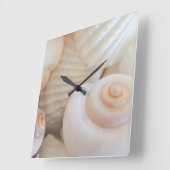 Shells van het zee, Klok van het Strand van de (Hoek)