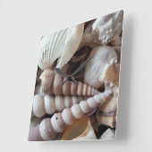 Shells van het zee, Klok van het Strand van de (Hoek)