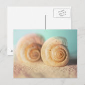 Shells van Nautilus op Strand Briefkaart (Voorkant / Achterkant)