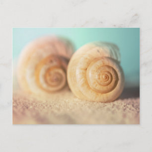 Shells van Nautilus op Strand Briefkaart