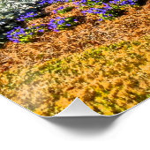 Shelter Cove Harbour en Marina Hilton Head Island Perfect Poster (Hoek)