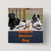 Shelter Dogs Button (Voorkant)